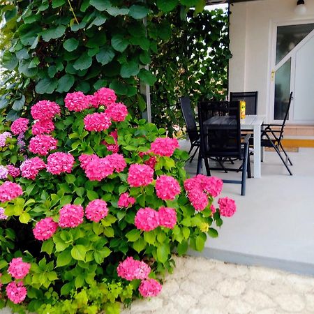 Apartments And Room Markovic โรวินสโก เซโล ภายนอก รูปภาพ