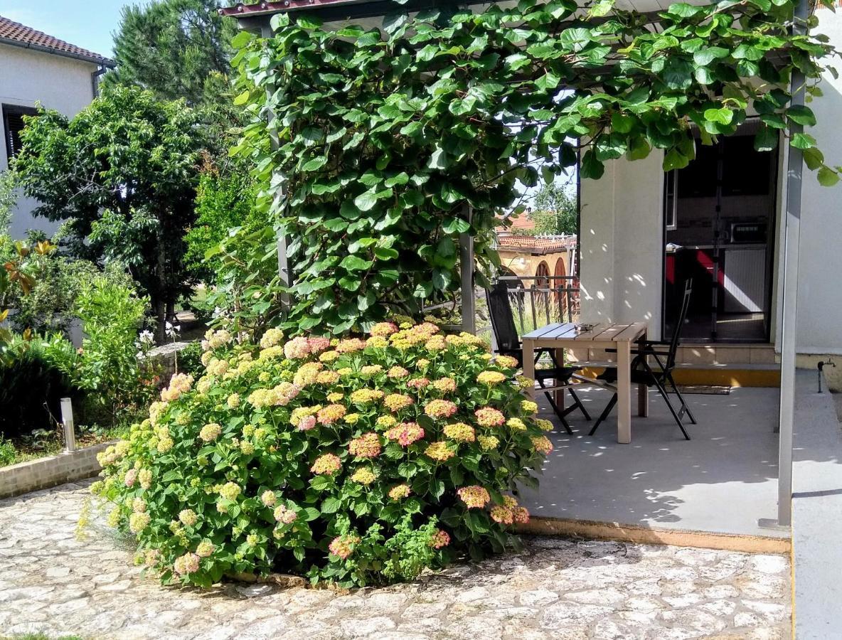 Apartments And Room Markovic โรวินสโก เซโล ภายนอก รูปภาพ