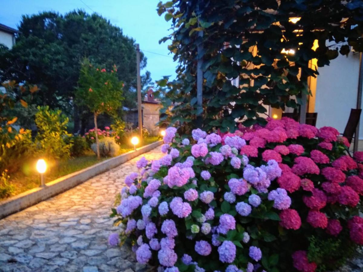 Apartments And Room Markovic โรวินสโก เซโล ภายนอก รูปภาพ