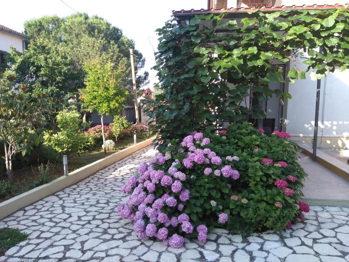 Apartments And Room Markovic โรวินสโก เซโล ภายนอก รูปภาพ