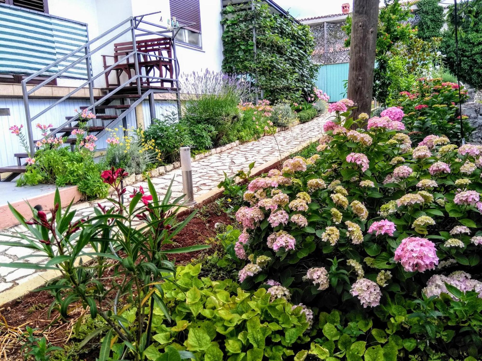 Apartments And Room Markovic โรวินสโก เซโล ภายนอก รูปภาพ