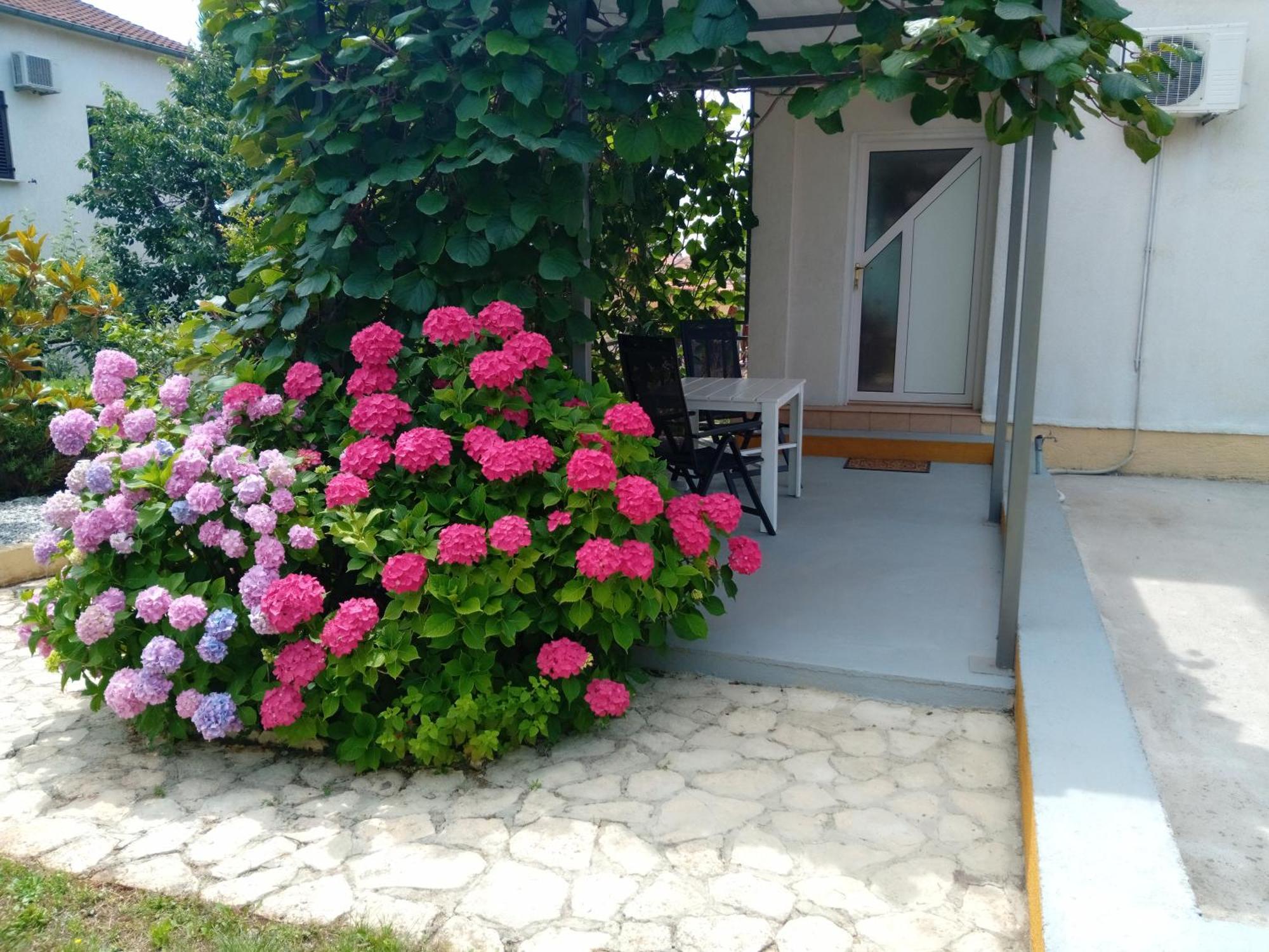 Apartments And Room Markovic โรวินสโก เซโล ภายนอก รูปภาพ